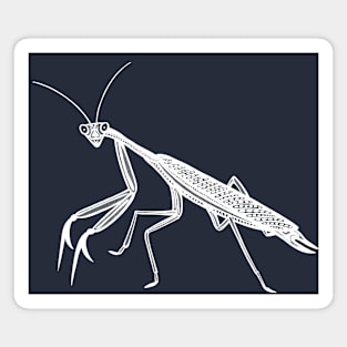 Praying Mantis - hand drawn detailed cute insect design Magnet